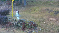 Běžecký lyžařský areál Nová Ves - horní část