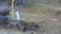 Běžecký lyžařský areál Nová Ves - horní část