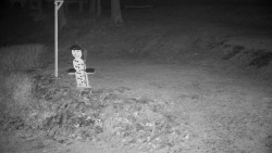 Běžecký lyžařský areál Nová Ves - horní část