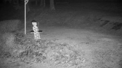 Běžecký lyžařský areál Nová Ves - horní část