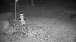 Běžecký lyžařský areál Nová Ves - horní část