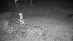 Běžecký lyžařský areál Nová Ves - horní část