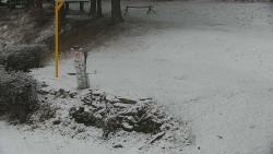 Běžecký lyžařský areál Nová Ves - horní část