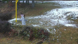 Běžecký lyžařský areál Nová Ves - horní část