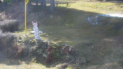 Běžecký lyžařský areál Nová Ves - horní část