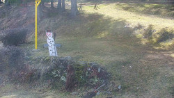 Běžecký lyžařský areál Nová Ves - horní část