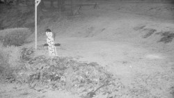 Běžecký lyžařský areál Nová Ves - horní část