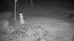 Běžecký lyžařský areál Nová Ves - horní část