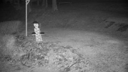 Běžecký lyžařský areál Nová Ves - horní část