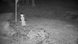 Běžecký lyžařský areál Nová Ves - horní část