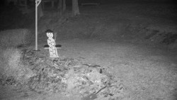 Běžecký lyžařský areál Nová Ves - horní část