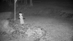 Běžecký lyžařský areál Nová Ves - horní část