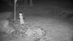 Běžecký lyžařský areál Nová Ves - horní část