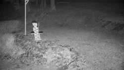 Běžecký lyžařský areál Nová Ves - horní část