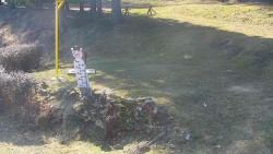 Běžecký lyžařský areál Nová Ves - horní část