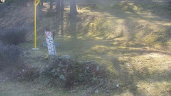 Běžecký lyžařský areál Nová Ves - horní část