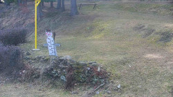 Běžecký lyžařský areál Nová Ves - horní část