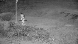 Běžecký lyžařský areál Nová Ves - horní část