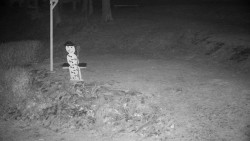 Běžecký lyžařský areál Nová Ves - horní část