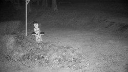 Běžecký lyžařský areál Nová Ves - horní část