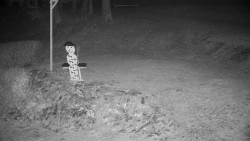 Běžecký lyžařský areál Nová Ves - horní část