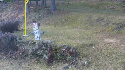 Běžecký lyžařský areál Nová Ves - horní část