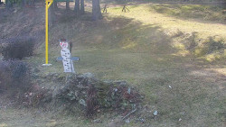 Běžecký lyžařský areál Nová Ves - horní část