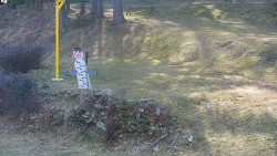 Běžecký lyžařský areál Nová Ves - horní část