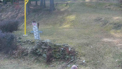 Běžecký lyžařský areál Nová Ves - horní část