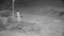 Běžecký lyžařský areál Nová Ves - horní část