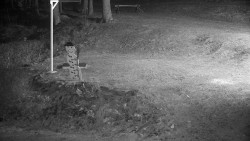 Běžecký lyžařský areál Nová Ves - horní část