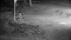 Běžecký lyžařský areál Nová Ves - horní část