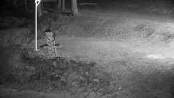 Běžecký lyžařský areál Nová Ves - horní část