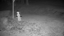 Běžecký lyžařský areál Nová Ves - horní část