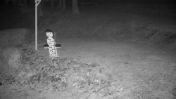 Běžecký lyžařský areál Nová Ves - horní část