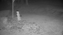 Běžecký lyžařský areál Nová Ves - horní část