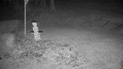 Běžecký lyžařský areál Nová Ves - horní část