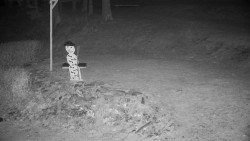 Běžecký lyžařský areál Nová Ves - horní část