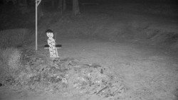 Běžecký lyžařský areál Nová Ves - horní část