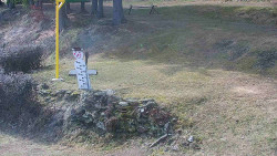 Běžecký lyžařský areál Nová Ves - horní část