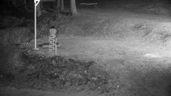 Běžecký lyžařský areál Nová Ves - horní část