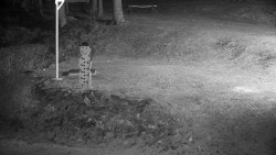 Běžecký lyžařský areál Nová Ves - horní část