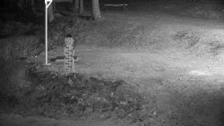 Běžecký lyžařský areál Nová Ves - horní část