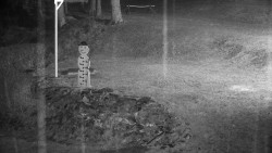 Běžecký lyžařský areál Nová Ves - horní část