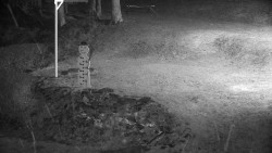 Běžecký lyžařský areál Nová Ves - horní část