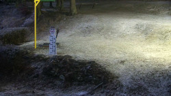 Běžecký lyžařský areál Nová Ves - horní část