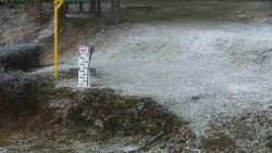 Běžecký lyžařský areál Nová Ves - horní část