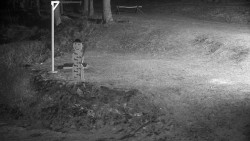 Běžecký lyžařský areál Nová Ves - horní část