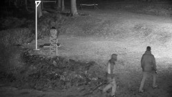 Běžecký lyžařský areál Nová Ves - horní část