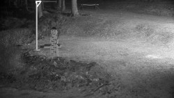 Běžecký lyžařský areál Nová Ves - horní část